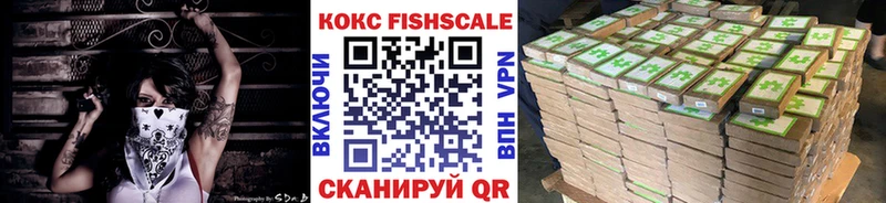 COCAIN Fish Scale omg онион Муром