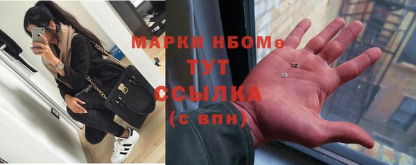 гидра Володарск