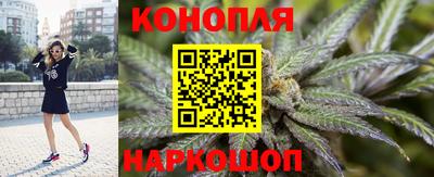 индика Жуковский