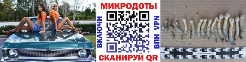 Псилоцибиновые грибы Psilocybe  хочу   hydra сайт  Муром 