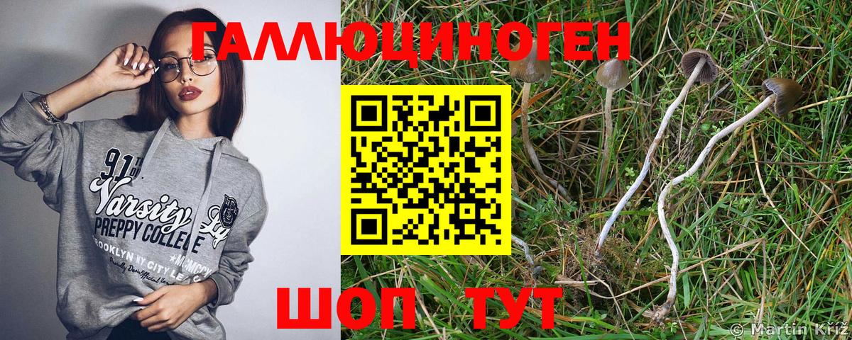 Муром  Псилоцибиновые грибы Psilocybe  Галлюциногенные грибы GOLDEN TEACHER  Вход с VPN 