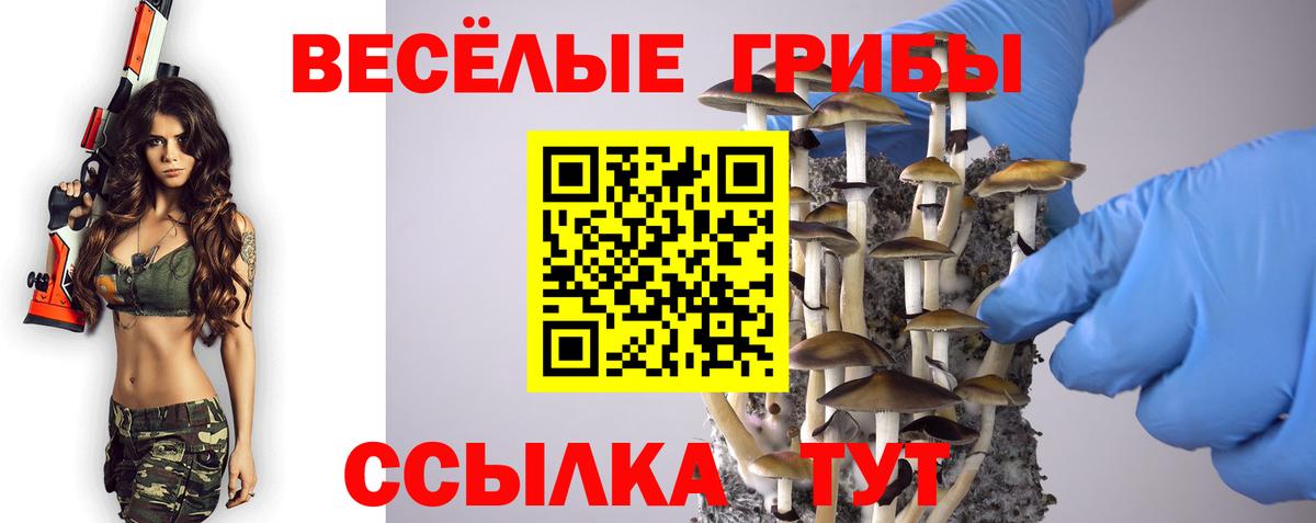 Псилоцибиновые грибы GOLDEN TEACHER Муром